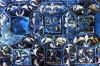 dpv05.jpg (58127 byte)