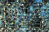 dpv10.jpg (70686 byte)