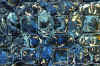 dpv12.jpg (63242 byte)