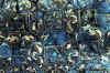 dpv20.jpg (60223 byte)