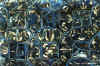 dpv21.jpg (60372 byte)