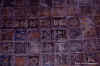 dpv31.jpg (42402 byte)